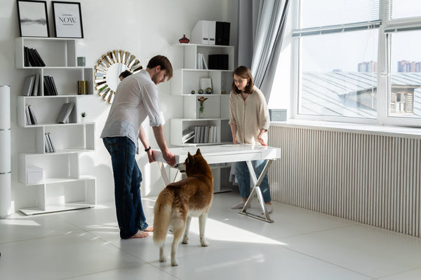 Around Pets
