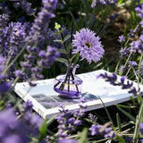 SAUSSAVITA Evening Lavender & Sandalwood reed diffuser with lavender, oatmeal & chamomile