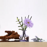 SAUSSAVITA Evening Lavender & Sandalwood reed diffuser fragrance note chart