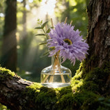 SAUSSAVITA Misty Park Morning reed diffuser with white jasmine & pear