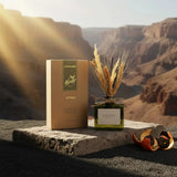 SAUSSAVITA's Wild Citrus reed diffuser with brown box, green bottle, wheat accents - canyon backdrop