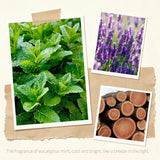 Teak Reed Diffuser — product view — SAUSSAVITA reed diffuser