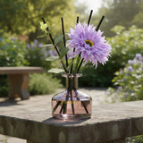 SAUSSAVITA Evening Lavender & Sandalwood reed diffuser in a garden setting